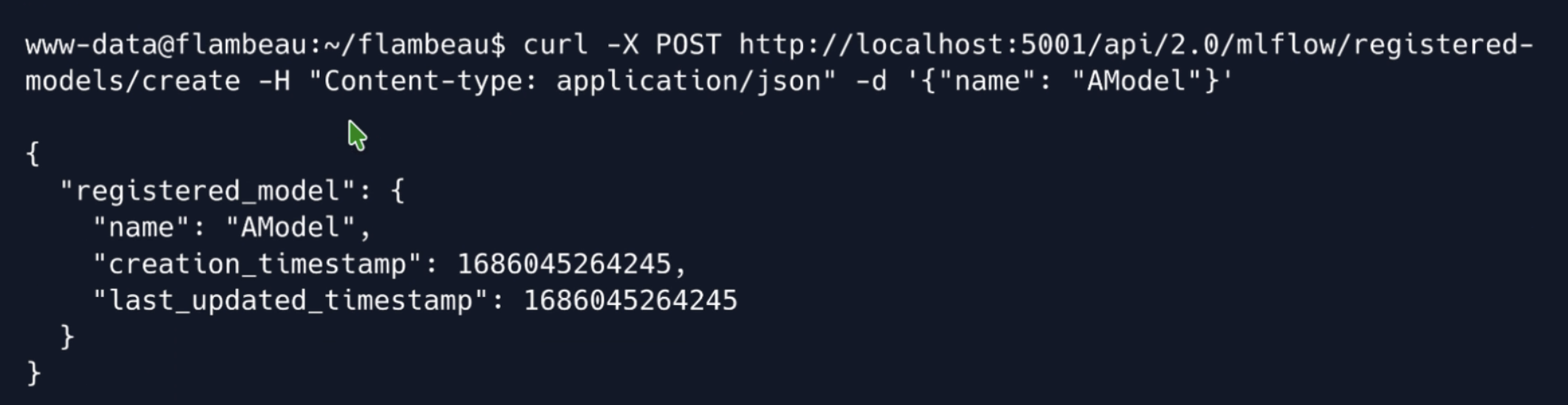 Creating a registered model via curl against MLflow on localhost:5001 as www-data